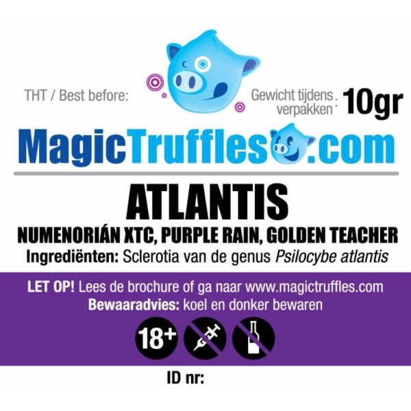 10 GRAMS – ATLANTIS – MAGIC TRUFFLES - Image 2