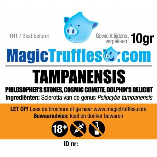 10 GRAMS – TAMPANENSIS – MAGIC TRUFFLES - Image 2