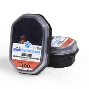 10 GRAMS – DUTCHII – MAGIC TRUFFLES