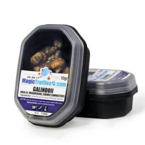 10 GRAM – GALINDOII – MAGIC TRUFFLES