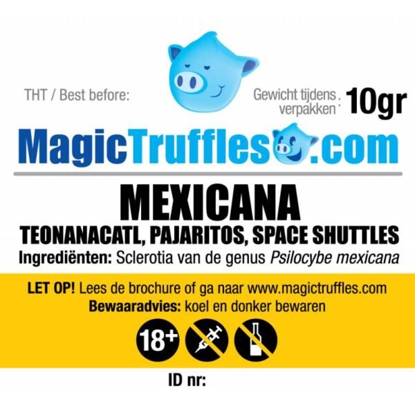 10 GRAMS – MEXICANA – MAGIC TRUFFLES - Image 2