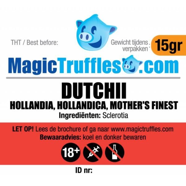 15 GRAMS – DUTCHII – MAGIC TRUFFLES - Image 2