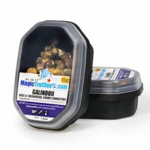 15 GRAM – GALINDOII – MAGIC TRUFFLES