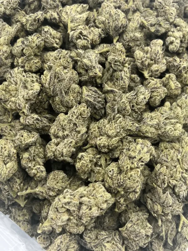 Amnesia Haze Sativa Strain