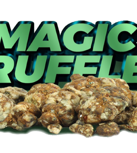 Buy Magic Mushrooms Online In New York City